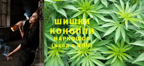 гашик Нестеровская