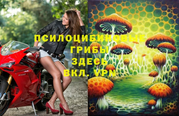 apvp Калининец