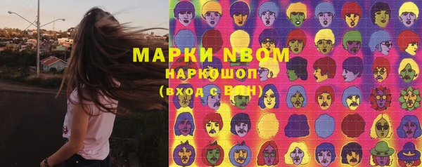 гашик Нестеровская