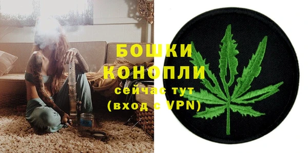 гашик Нестеровская