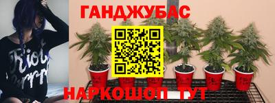гашишное масло Балаково