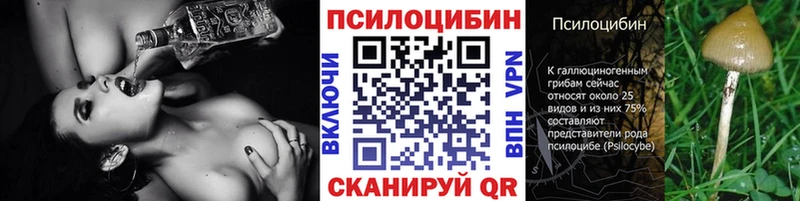 магазин продажи наркотиков  Белая Калитва  Псилоцибиновые грибы ЛСД 