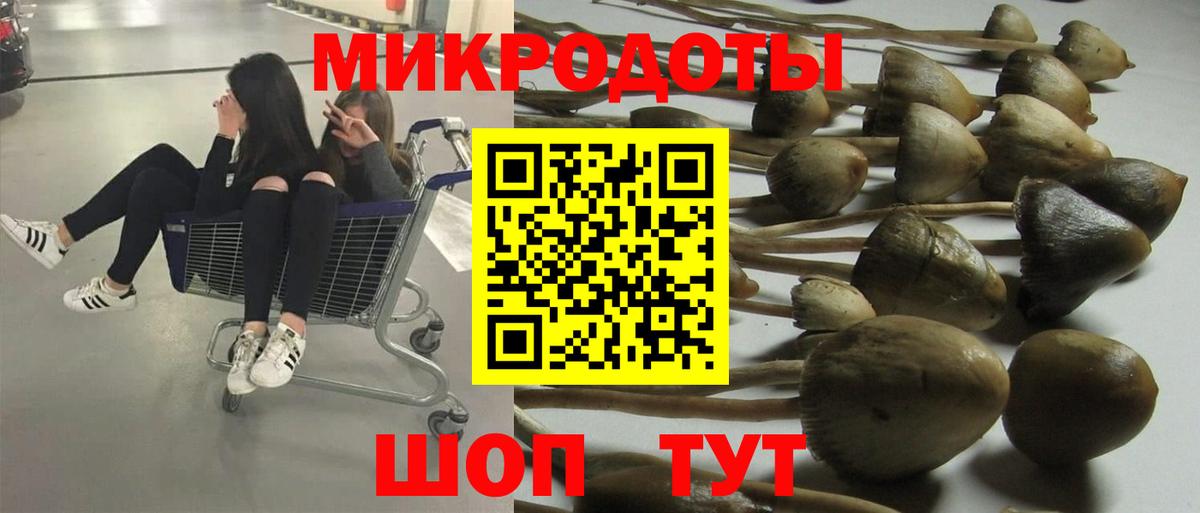 Белая Калитва  купить закладку  Вход с VPN  Псилоцибиновые грибы GOLDEN TEACHER 